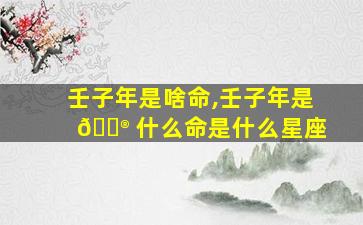 壬子年是啥命,壬子年是 💮 什么命是什么星座
